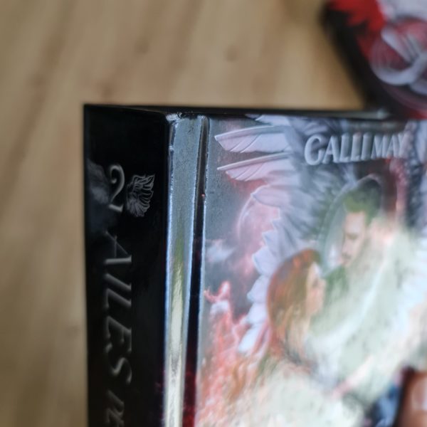 [Cabossé] Ailes de Cendres - Tome 2 La Dernière Elite – Image 2