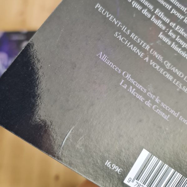 [Cabossé]  L'âme des loups - Tome 3 La Meute de Cristal - Couverture discrète & normale – Image 2