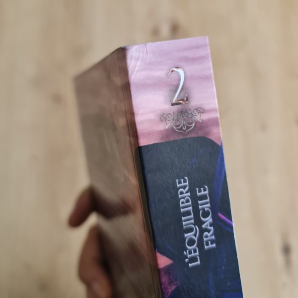 [Cabossé] Amenis - Tome 2 Gyara – Image 2