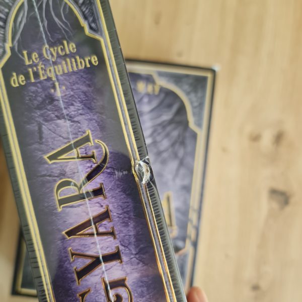 [Cabossé] Double intégrale - Gyara : Le cycle de l'équilibre (relié) – Image 2