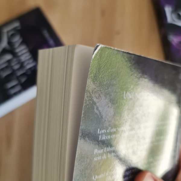 [Cabossé] L'Ombre de la Meute - Tome 1 La Meute de Cristal - Couverture discrète & normale – Image 5
